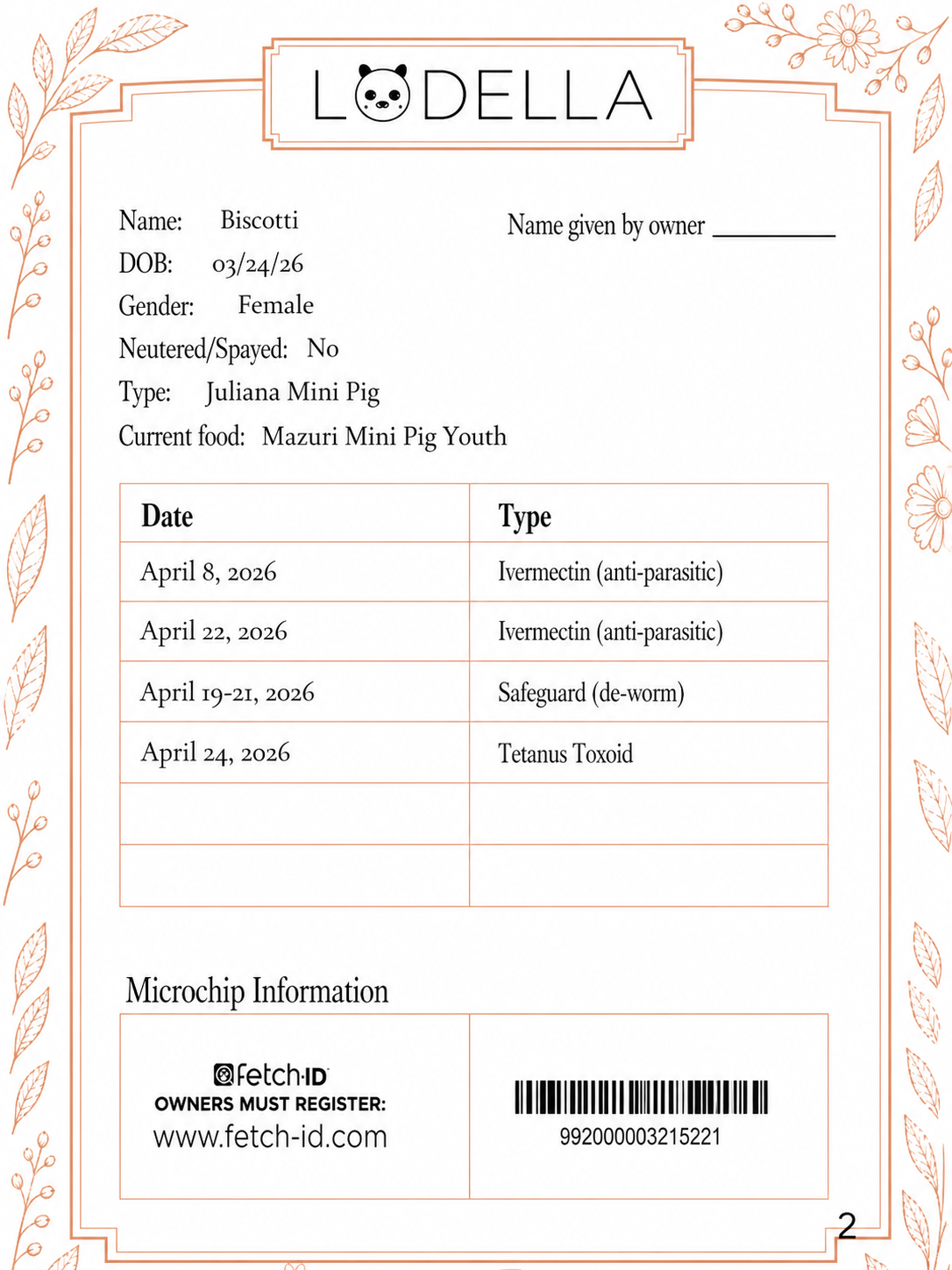Biscotti - Female