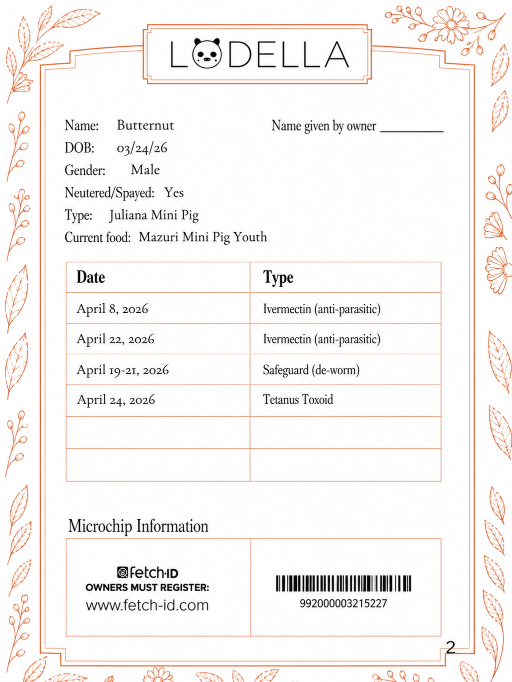 Butternut - Male