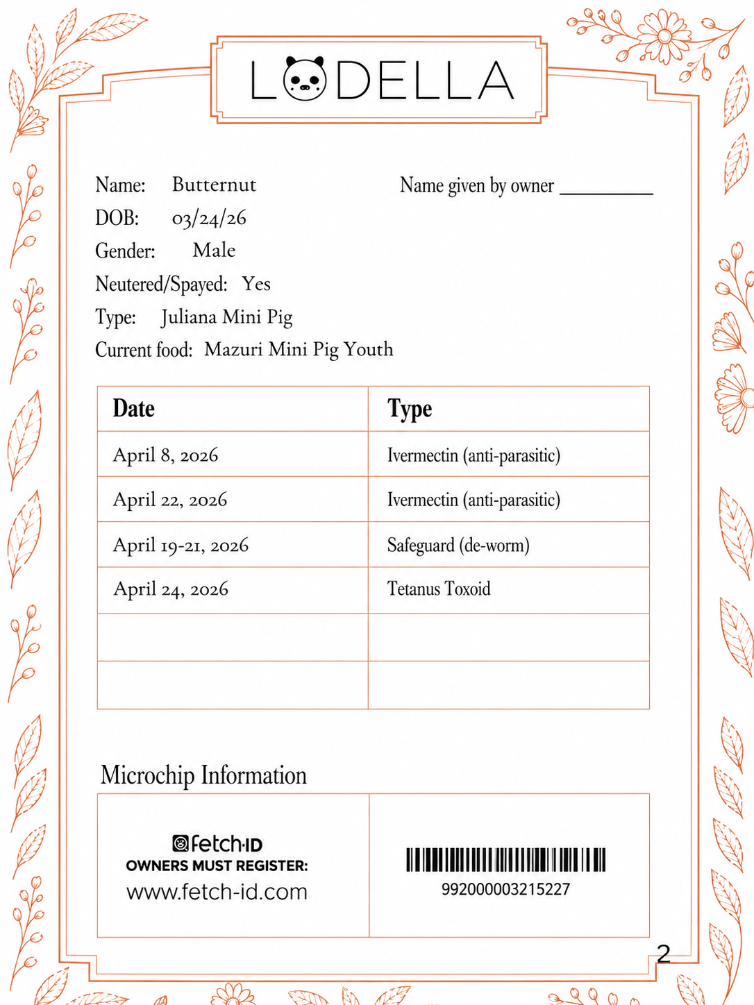 Butternut - Male