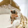 XS - 11-04-22 - Emily - Female - Juliana Mini Pig