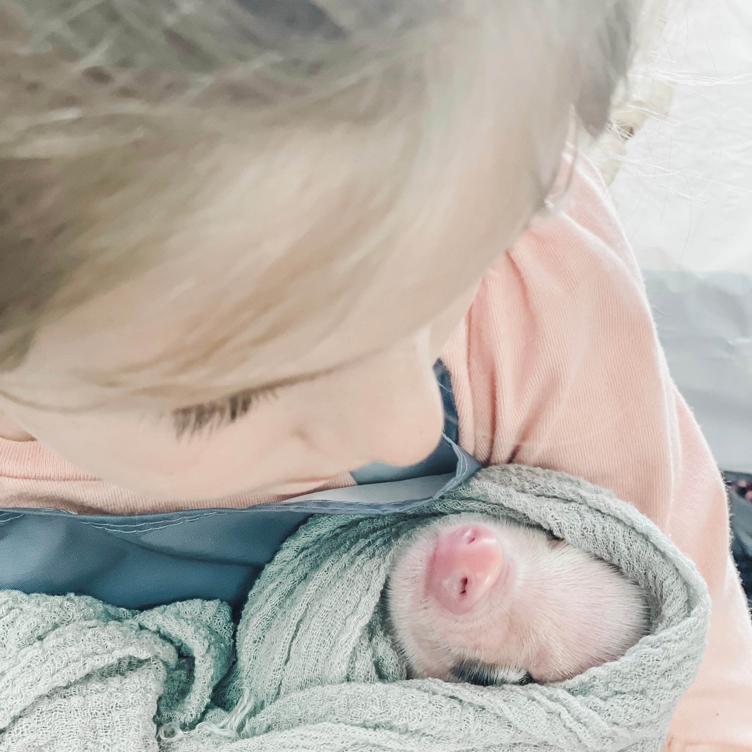 S - 01-02-23 - Ruby - Female - Juliana/American Mini Pig