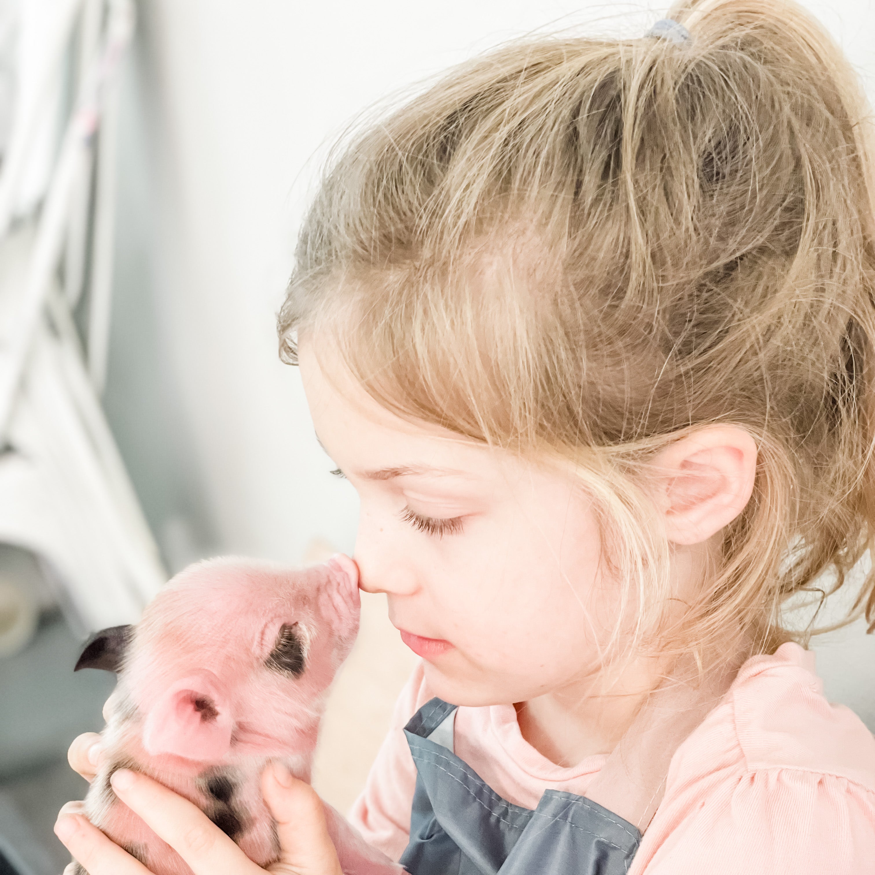 S - 01-02-23 - Ruby - Female - Juliana/American Mini Pig